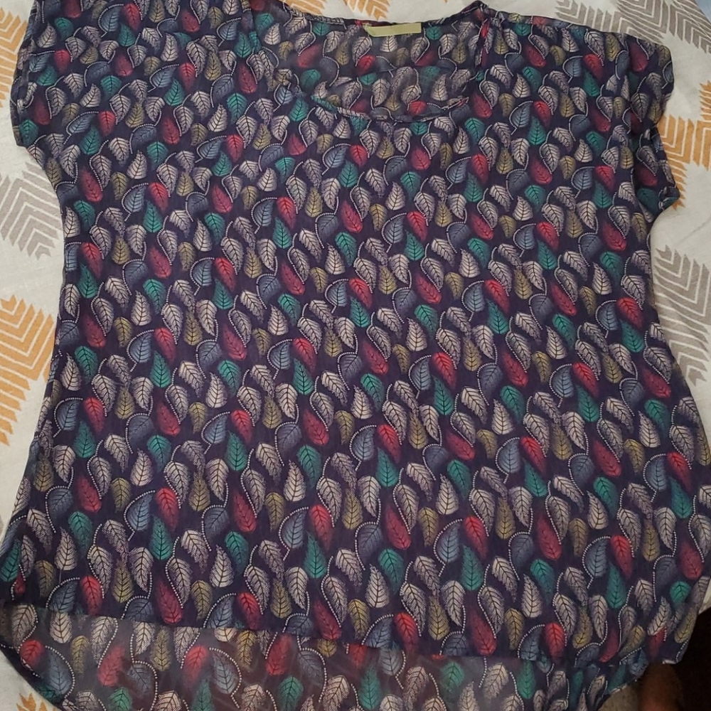 Sheer blouse